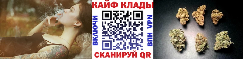 Псилоцибиновые грибы Советский