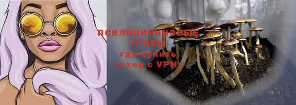 тгк Сясьстрой