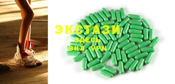хмурый Ельня