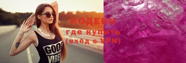 прущие грибы Дмитриев