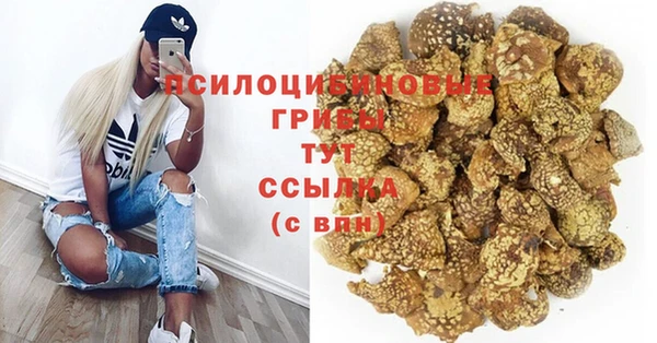 экстази Тавда