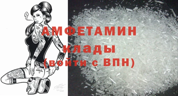 прущие грибы Дмитриев